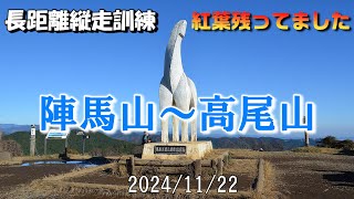 陣馬山～高尾山 長距離縦走訓練 紅葉残ってました