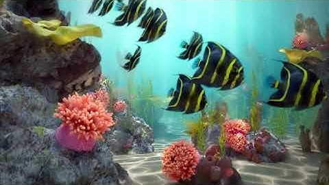 Under water coral reef  3d maya
