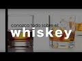 Whisky - cómo tomar, tipos de whiskys, y demás datos