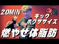 くびれ、ヒップアップ、脚痩せ、落ちにくい脂肪から燃やすキックボクササイズ│自宅ボクササイズはSHAPIT