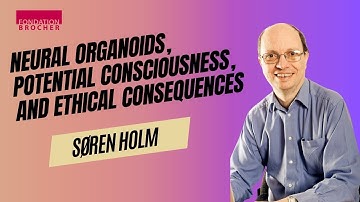 ”Neural organoids, potential consciousness, and ethical consequences” | Søren Holm