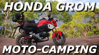 Motorcycle Camping with the Honda Grom (MSX125)