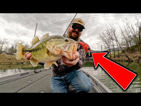 Spring Bass Fishing Is Awesome! (Catching Them On Everything In The Boat!)  