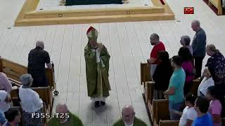 XV Domingo del Tiempo Ordinario