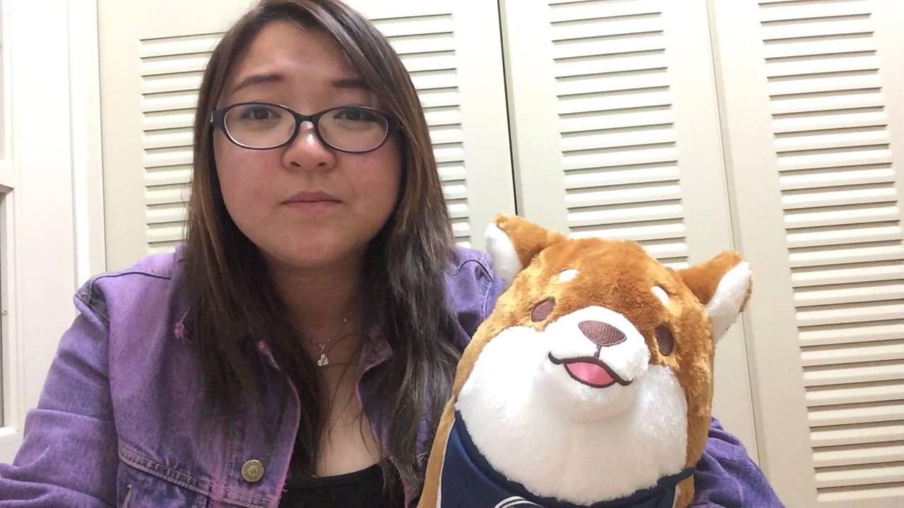 My bag was stolen in Japan!! 日本拉面