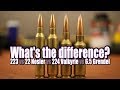 Picking the right AR cartridge for your needs