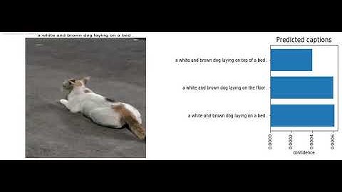 Image captioning | Show and Tell | im2text | CNN | LSTM | deep learning model | Tensorflow | Python
