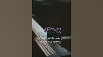 سورة قريش (كاملة) --القارئ رزكار الكردي --