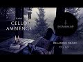 Dark academia cello  cello ambience with rain cello cellomusic darkacademia