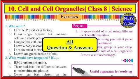 Exercise Class 8 Science cell and cell organelles Question and Answer Maharashtra board std8 Science