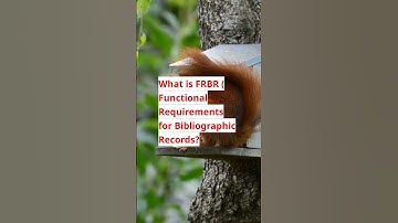 What if FRBR?