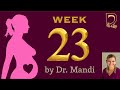 Dr. Mandi&#39;s 23rd week of pregnancy