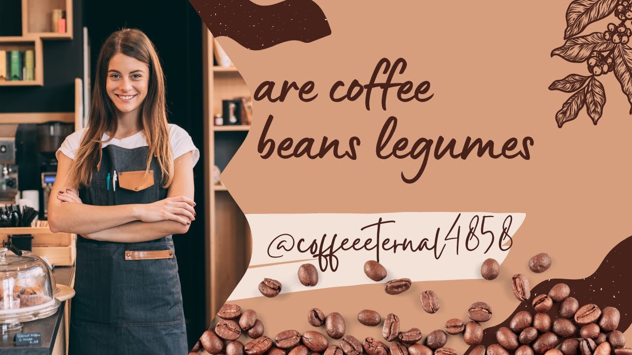 👩🌝 What Food Group Does Coffee Beans Belong To! 💜💥 Info Video YouTube