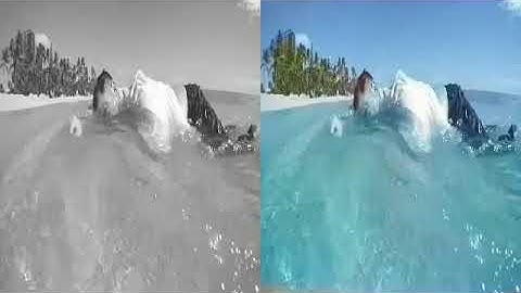 Deep Learning based Image Colorization Demo