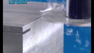 SGSA