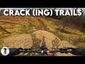 Bike park wales pt 2  cracking trails