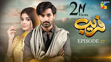 Fareb - Episode 17 - 27th Aug 2023 - [ Zain Baig, Zainab Shabbir , Maria Wasti ] HUM TV