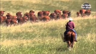 Cattle Call Performed by LeAnn Rimes & Eddy Arnold chords