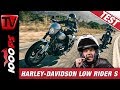 Harley Davidson Low Rider S 2020 Test - 114er Motor im Softail Chassis