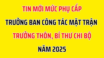 Mức Phụ Cấp Trưởng Ban Công Tác Mặt Trận, Trưởng Thôn, Bí Thư Chi Bộ Năm 2025