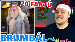 20 FAKTŮ - PROFESOR BRUMBÁL (HARRY POTTER)