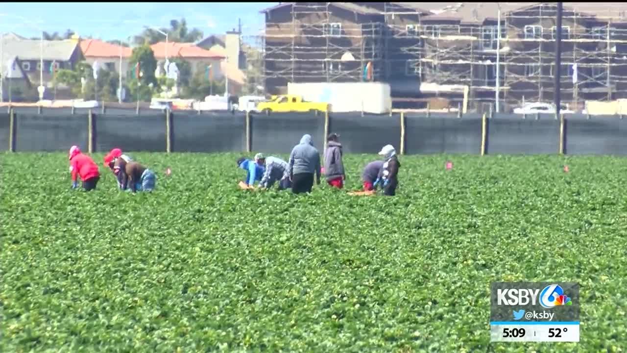Rally held in Santa Maria to call for pesticide protection for