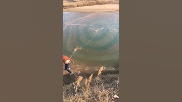 Ném lưới bằng dàn cast tuyệt vời 🐟 Video câu cá hay nhất 🐟 #shorts