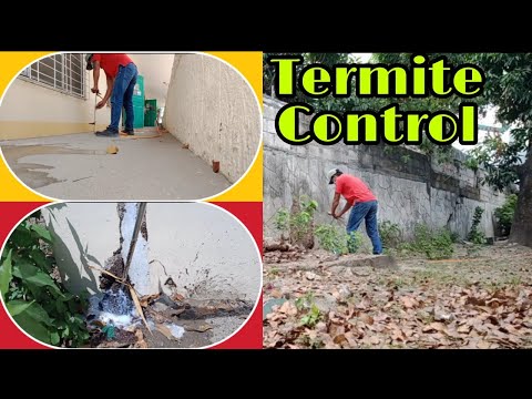 Termite Control | San Augustine Elementary school San Fernando, Pampanga