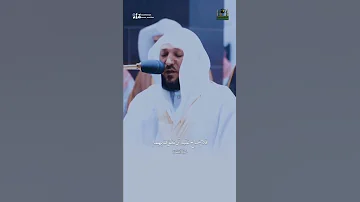 إن الصفا والمروة من شعائر الله قرآن قران ماهر المعيقلي ماهرالمعيقلي الحج حالات 