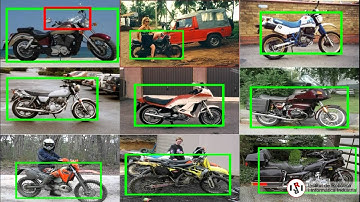 Efficient Rotation Invariant Object Detection using Boosted Random Ferns