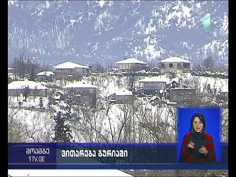 დიდთოვლობამ პრობლემები შექმნა გურიაში