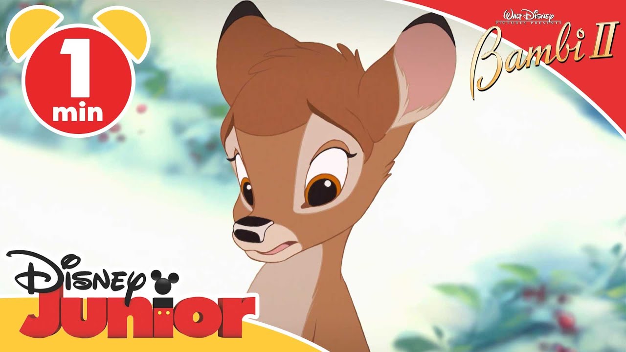 Bambi II | Watch It on Disney Junior! | Disney Junior UK - YouTube