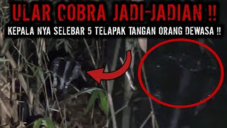 Live kang black official‼️MISTERI KAIN KAFAN KUBURAN‼️