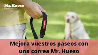 7 claves para elegir un buen arnés para tu perro - Mr. Hueso