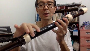 4. Comparing soprano vs tenor recorder : physical differences and ease of fingering