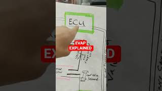 Evap System Purge Solenoid Charcoal Canister automobile mechanic