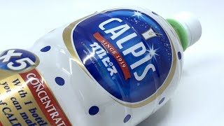 Calpis Calpico Concentre Non-Carbonated Soft Drink (Taiwan) 1.5L