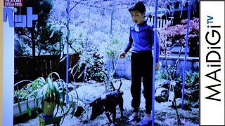 バナナマン日村の小学時代がスレンダー！ペットとの写真公開　映画「ペット」吹き替えキャスト発表会2　#Bananaman　#Press conference