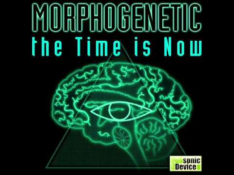 Morphogenetic — Morphogenetic - Regenerate (Supreme.ja Remix)