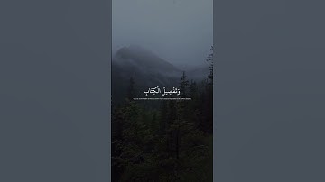 سورة يونس - #quran #قرآن #عبدالرحمن_مسعد