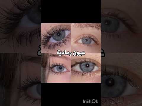 الوان العيون انواع شو هو لون عيونك اكسبلور لايك اشتراك