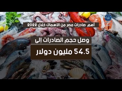 بالفيديو جراف لنتعرف علي أهم صادرات مصر من الأسماك خلال 2022