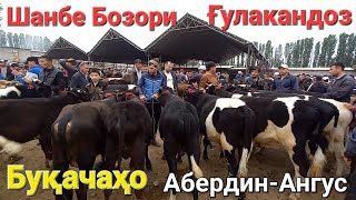 Шанбе Бозори Ғулакандоз 11-май. нарху навои Буқачаҳои майда ва калон, оча бача ва тойчаҳо