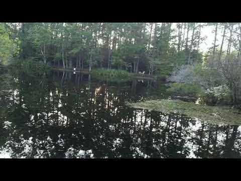 29260 Paquet Rd, Lacombe, LA home video tour