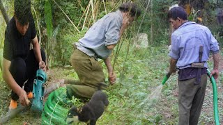 Mountain life: A Day in the Farm, Pump Restoration, Sugarcane Harvest & Tending to the Farm | Ep.1