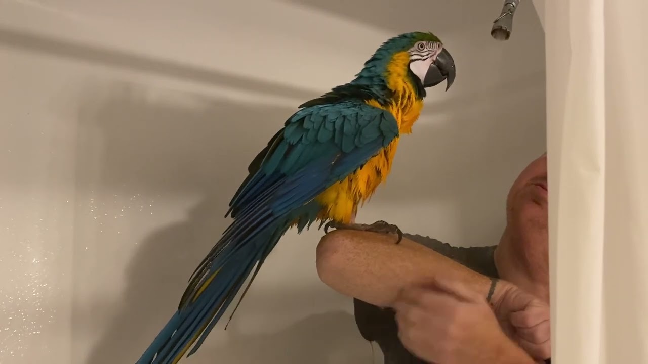 Charley enjoys her shower