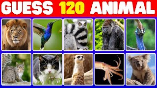 Animals Guessing Challenge: Can You Name 120 in 3 Seconds?