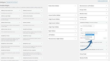 BuddyPress BuddyBoss Hashtags Activity - Setup trending topics in your Social Network Community 2022