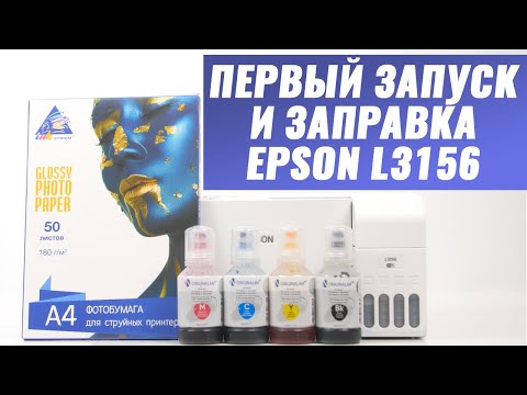 Первый запуск и заправка Epson L3156