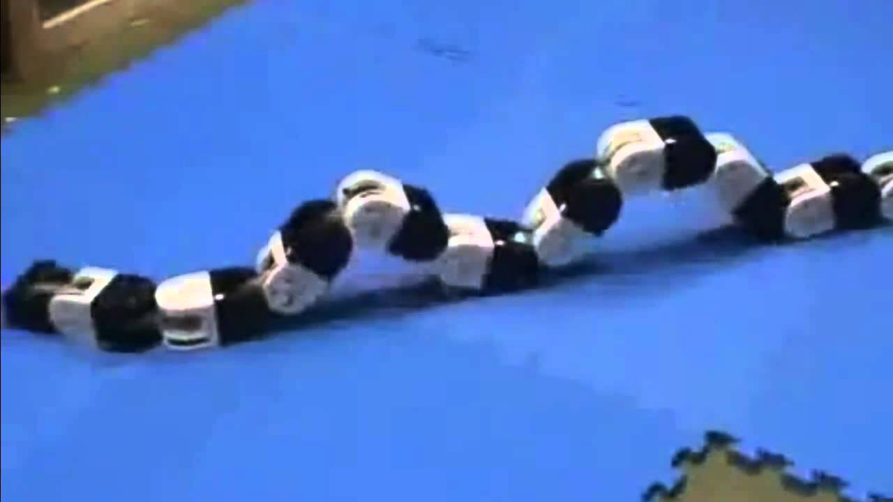 El robot gusano avanzado del mundo - YouTube